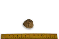 F 09985
<br/>
<br/>
<em></em>